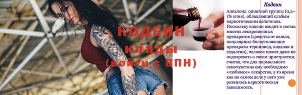 крисы Мегион