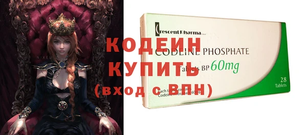прущие грибы Медногорск