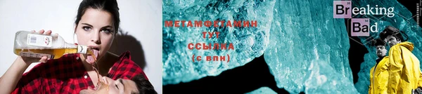 прущие грибы Медногорск