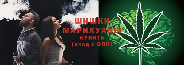 индика Магас