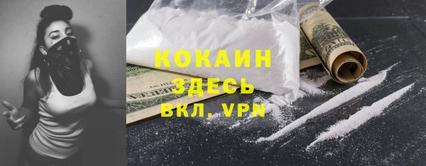 индика Магас