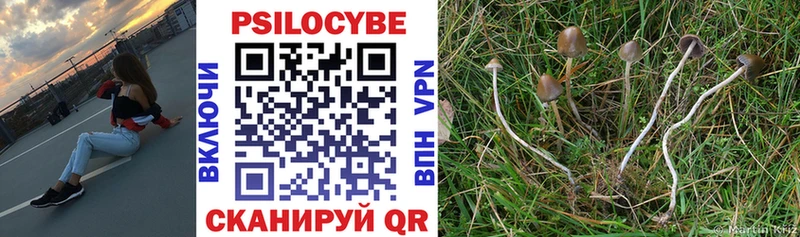 Псилоцибиновые грибы Psilocybine cubensis  Фокино 
